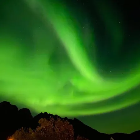 Ferrytale, Cozy, Spacious House On Senja * Gryllefjord