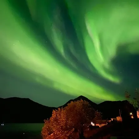 Casa de Férias Ferrytale, Cozy, Spacious House On Senja