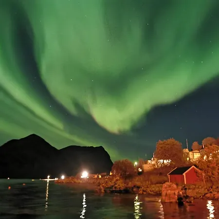 Ferrytale, Cozy, Spacious House On Senja