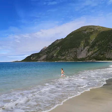 Ferrytale, Cozy, Spacious House On Senja *