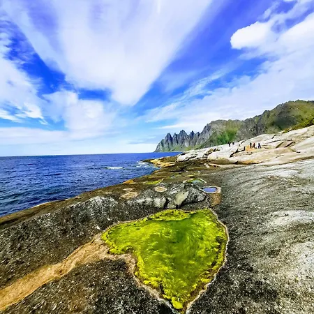 펜션 Ferrytale, Cozy, Spacious House On Senja