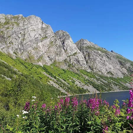 Ferrytale, Cozy, Spacious House On Senja *