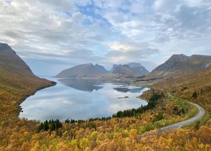 Ferrytale, Cozy, Spacious House On Senja Vakantiehuis *