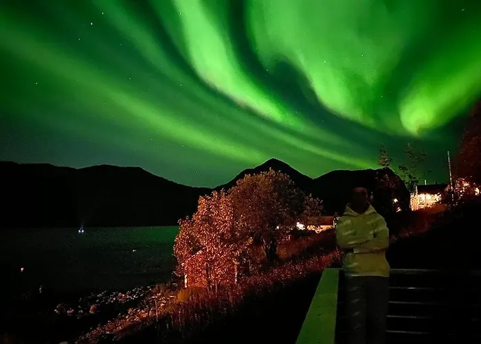 Ferrytale, Cozy, Spacious House On Senja Gryllefjord