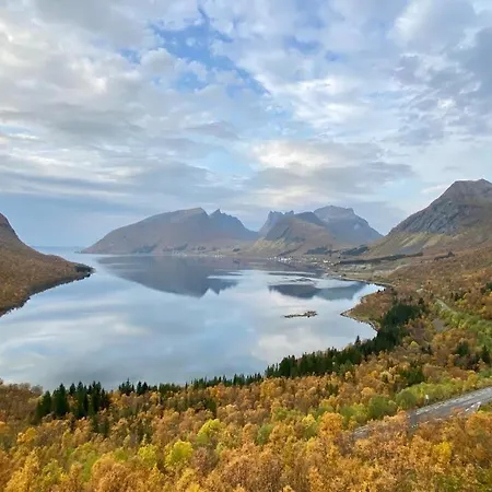 Ferrytale, Cozy, Spacious House On Senja Hébergement de vacances *