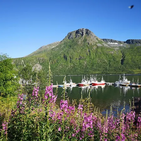 Ferrytale, Cozy, Spacious House On Senja Hébergement de vacances *