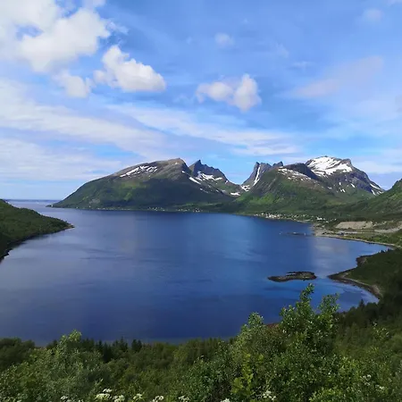 Ferrytale, Cozy, Spacious House On Senja Hébergement de vacances *